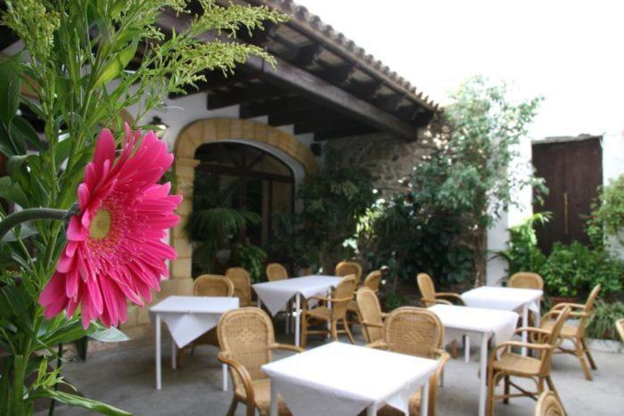 Hostal Torre De Guzman โกนิล เด ลาฟรอนเตรา ภายนอก รูปภาพ